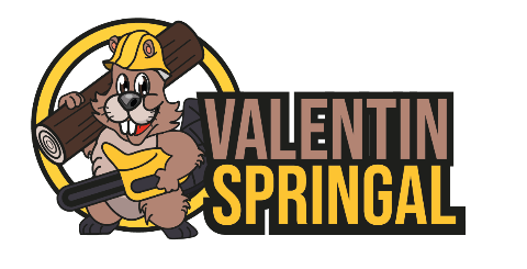 Valentin Springal SRL